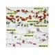 Christmas (Ceiling & Garland), WR2024/15' 
WR2021/12' 
WR2021MGML/12 
WR2021MLN/5M 
WR2032/25' 
WR1002/25' 
WR1007/9'
