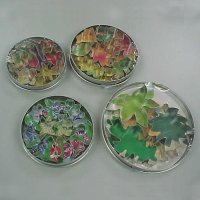Stainless Steel - Cookie Cutter