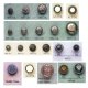 Shank Alloy Button
