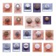 Design of Tack & Snap Cap