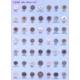 Hole Buttons