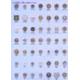 Hole Buttons
