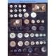 Trocas Shell Button