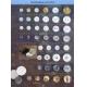 River Shell Button