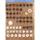 Carved Shell Button