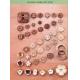 Coconut Shell Button