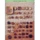 Coconut Shell Button