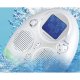 Waterproof MP3 Player with AM/FM Radio & Thermometer, 609