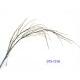 136CM WILLOW