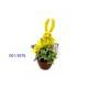 5 inches DAFODIL, DAISY W/ CHECKER RIBBON & RABBIT ON POT