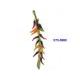 80CM CHILLI STRING X 15