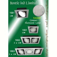 Down Light with Compact Flurescent Lamp