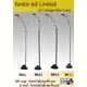 Floor Lamp 1