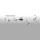 Decorative, 7304X-IS/D-D