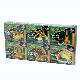 6-in-1 Physical Science Time Set