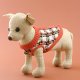 Dog Wear