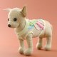 Dog Wear