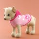 Dog Wear