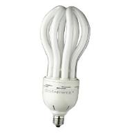 Buddha-shaped Energy-saving Lamp With Frequency Of 50/60hz