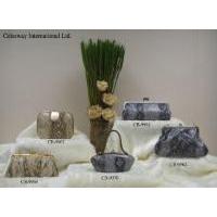 Evening Handbag