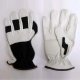 Multipurpose Gloves