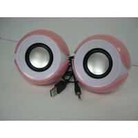 Dual Speaker