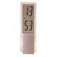 LCD Clock