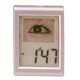 LCD Clock