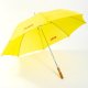 Regular Umbrella