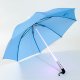Special Design Umbrella, FD/1647