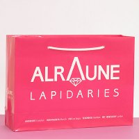 Gloss Laminated Paper Bag (4)