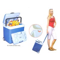 Thermoelectric Cooler & Warmer