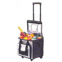 Thermoelectric Soft Bag Cooler