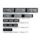 LED Millennium Countdown clock module