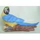 Parrot, SF9663B