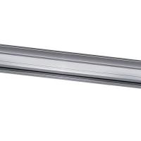 Accent, high voltage tracklight rail