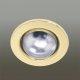 Downlight