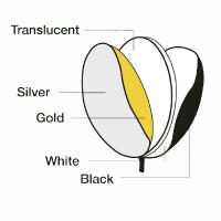5-in-1 Reflector