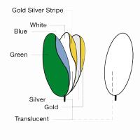 7-in-1 Reflector