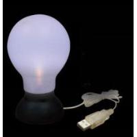 Usb Fashion Light Bulb