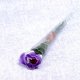 Talking Rose