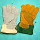 Gloves, A : 2015 
B : 2018