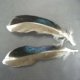 White Duck Speculum Feathers, Loose, 1302