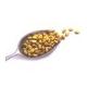 Dry Roasted Soybeans