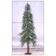 Sell Christmas Tree