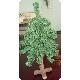 Frosted Mini Alpine Tree, KWI0600481