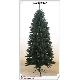 Christmas Trees, kwi0602147