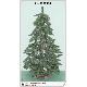Christmas Trees, kwi0602151