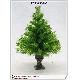 Christmas Trees, kwi0900136A