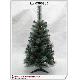 Christmas Trees, kwi0900285